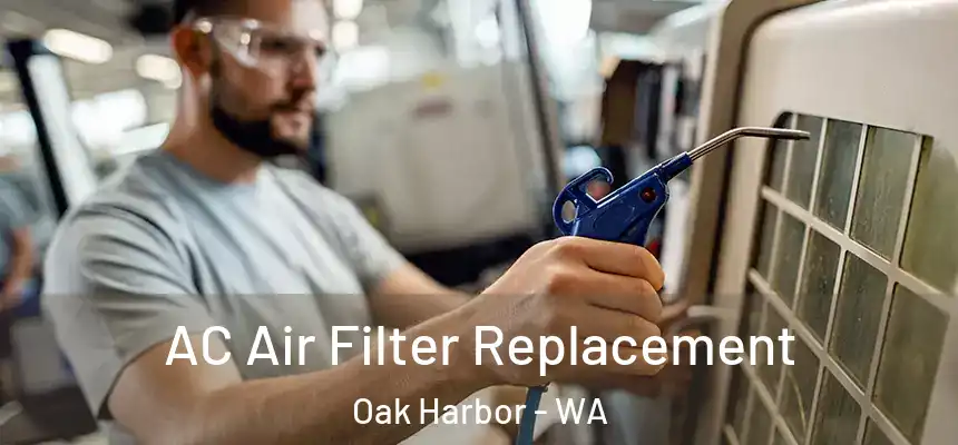  AC Air Filter Replacement Oak Harbor - WA