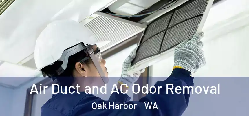  Air Duct and AC Odor Removal Oak Harbor - WA