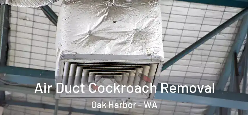  Air Duct Cockroach Removal Oak Harbor - WA