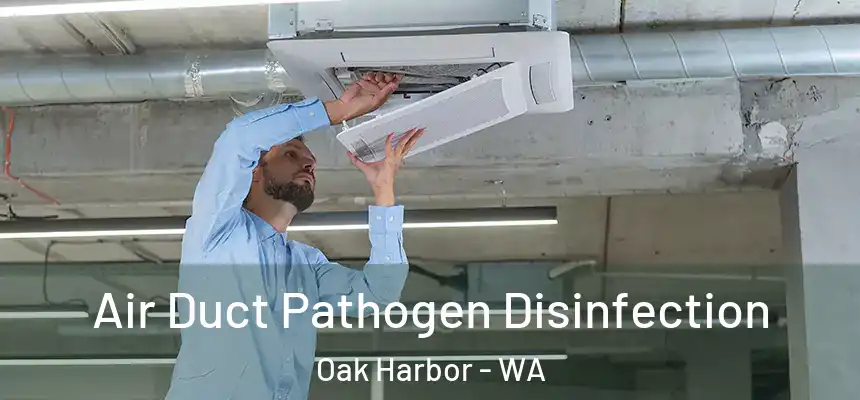  Air Duct Pathogen Disinfection Oak Harbor - WA
