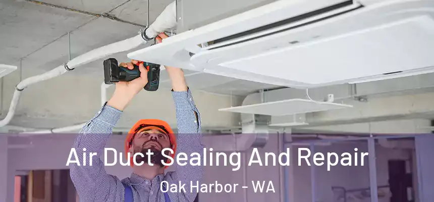 Air Duct Sealing And Repair Oak Harbor - WA