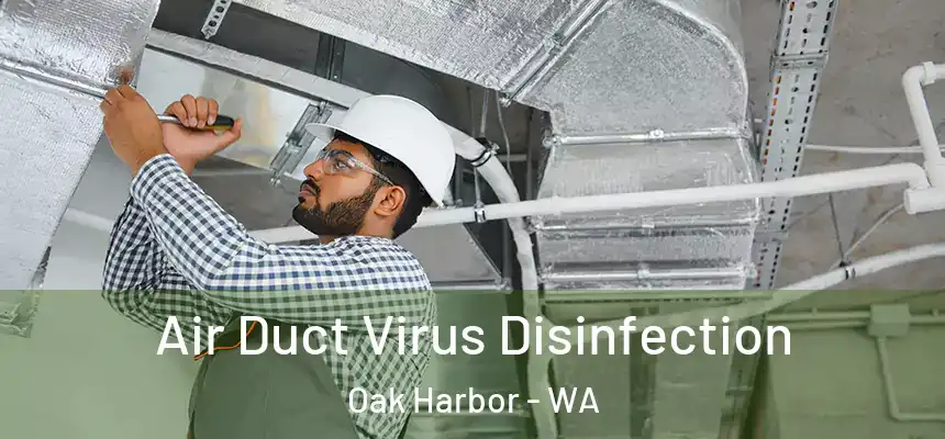 Air Duct Virus Disinfection Oak Harbor - WA