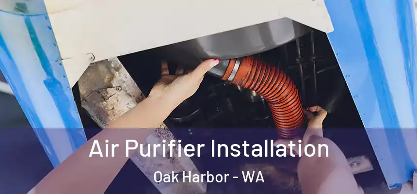  Air Purifier Installation Oak Harbor - WA