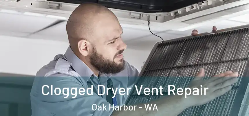 Clogged Dryer Vent Repair Oak Harbor - WA