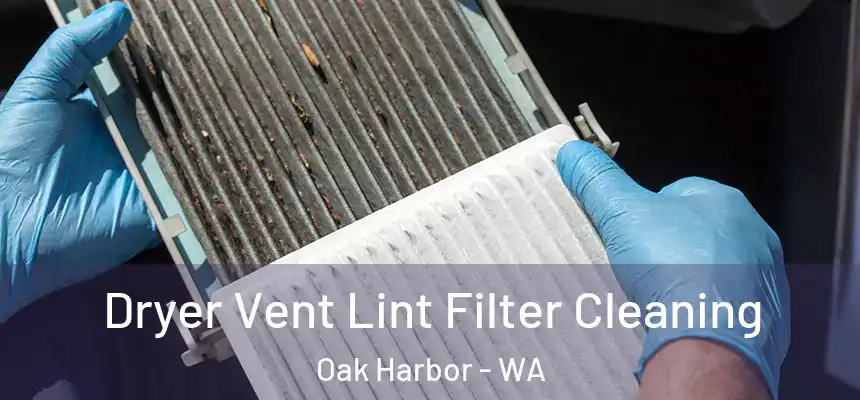 Dryer Vent Lint Filter Cleaning Oak Harbor - WA