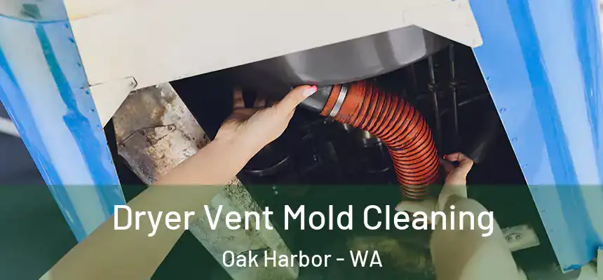  Dryer Vent Mold Cleaning Oak Harbor - WA
