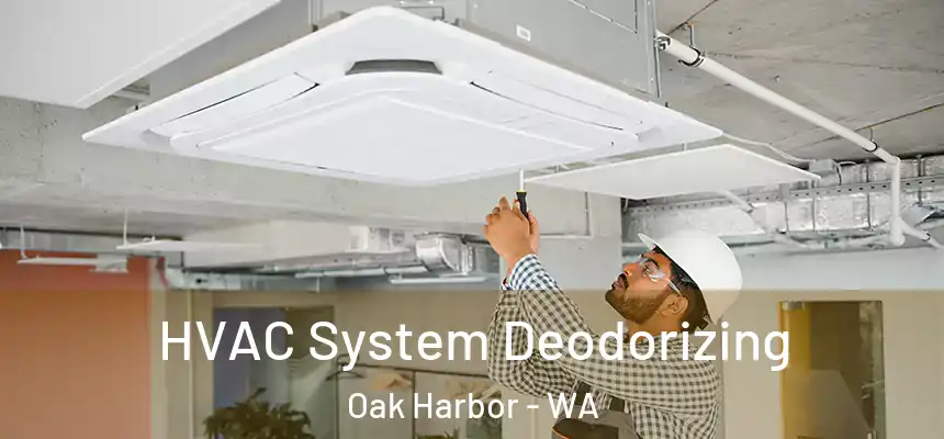  HVAC System Deodorizing Oak Harbor - WA