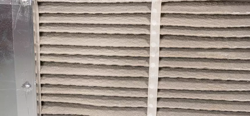 Mobile Car AC Filter Replacement in Oak Harbor