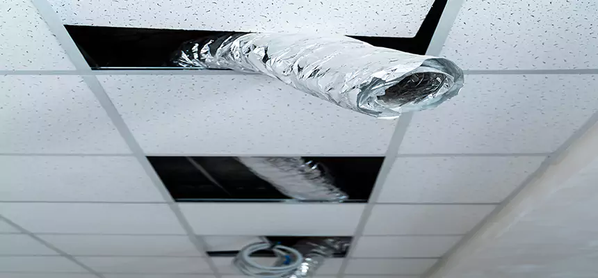 Affordable HVAC Sanitizing After Pest Removal in Oak Harbor