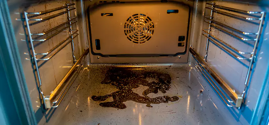 Our Dryer Vent Mold Cleaning Services in Oak Harbor, WA