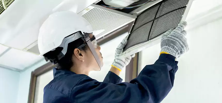 Our Mold & Mildew Removal from Air Ducts Services in Oak Harbor, WA