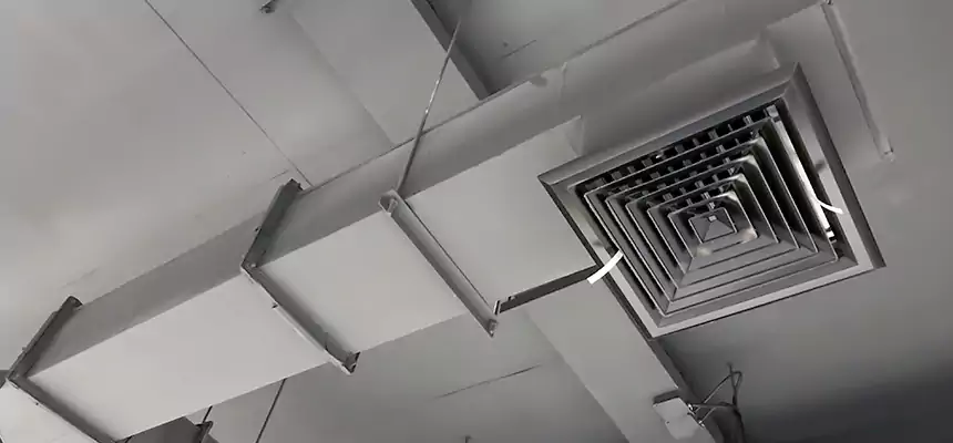 Our Rodent Droppings In Vents Services in Oak Harbor, WA