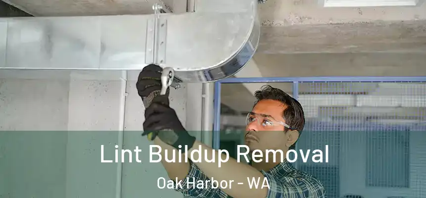  Lint Buildup Removal Oak Harbor - WA