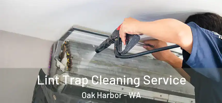  Lint Trap Cleaning Service Oak Harbor - WA