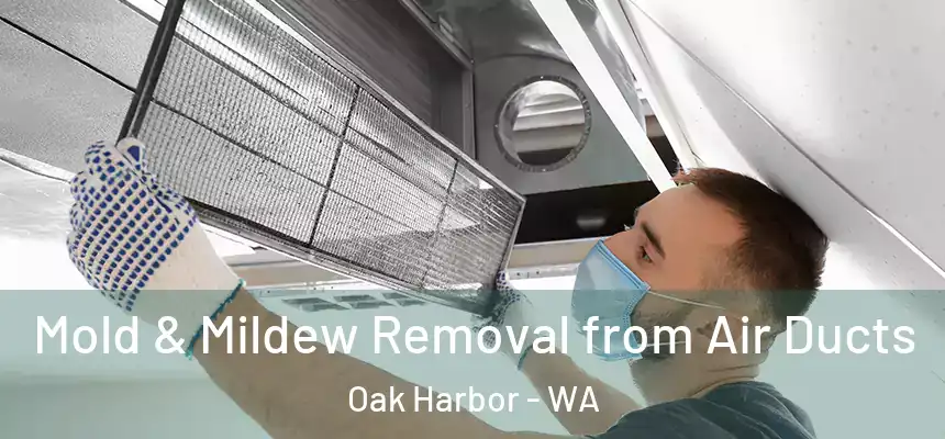  Mold & Mildew Removal from Air Ducts Oak Harbor - WA
