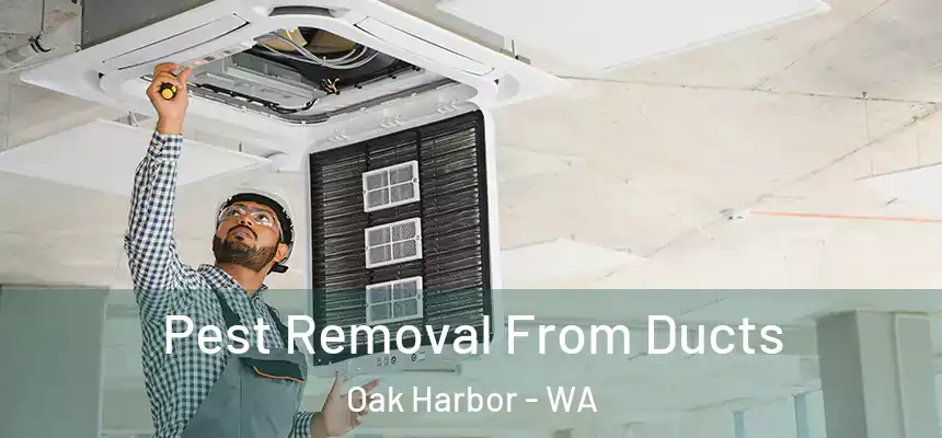  Pest Removal From Ducts Oak Harbor - WA