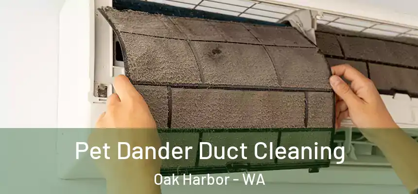  Pet Dander Duct Cleaning Oak Harbor - WA