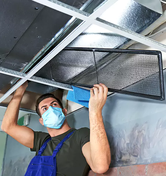 About Air Duct Bacteria Removal in Oak Harbor