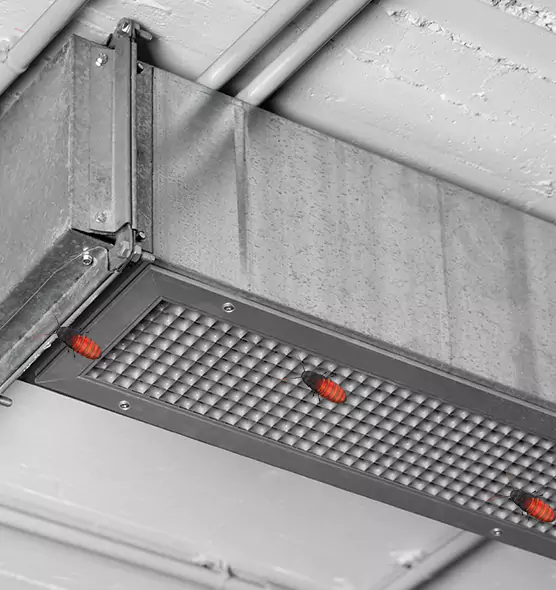 About Air Duct Cockroach Removal in Oak Harbor, WA