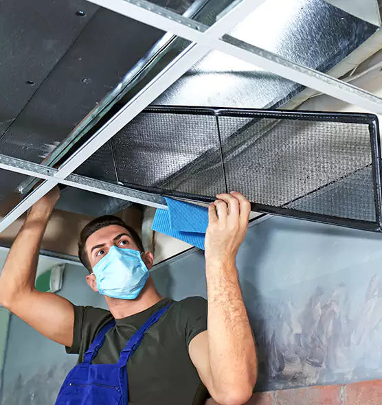 Professional Air Duct Pollen Cleaning in Oak Harbor, WA