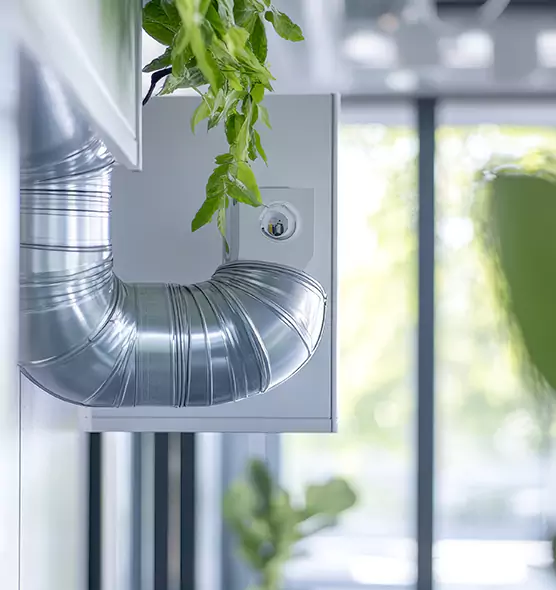 Professional Eco-Friendly Duct Cleaning Services in Oak Harbor, WA