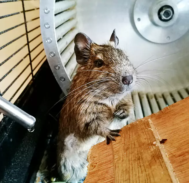 Why Homeowners & Businesses Trust Us Oak Harbor, WA