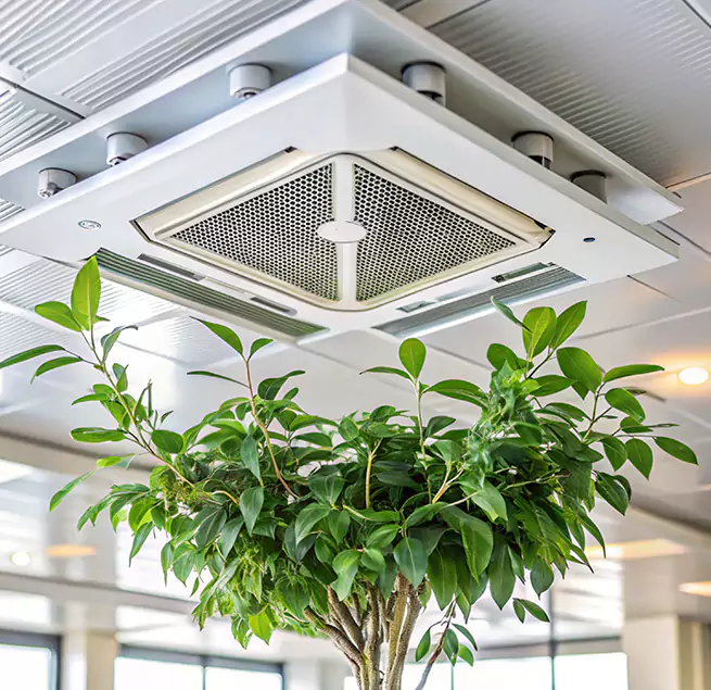 Why Homeowners & Businesses Trust Us in Oak Harbor, WA?