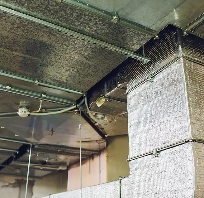 Why Homeowners & Businesses Trust Us in Oak Harbor, WA?