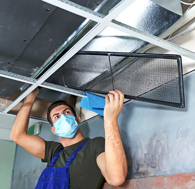 Why Homeowners & Businesses Trust Us in Oak Harbor, WA?